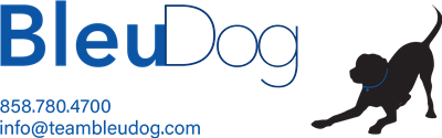 Bleu Dog Info Dev